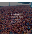 Santuario Farm / Red Bourbon / Black Lime C.M