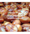 Tres Milagros / Ethiopian Heirloom / Raisin Honey