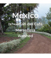 Ixhuatlan del Cafe / Marsellesa / Washed